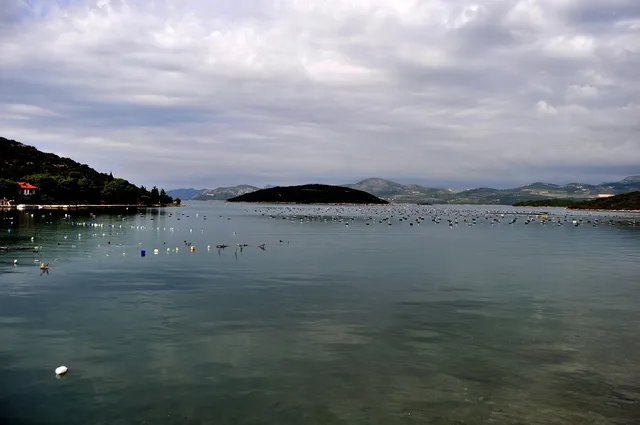 Peljesac zakwaterowanie